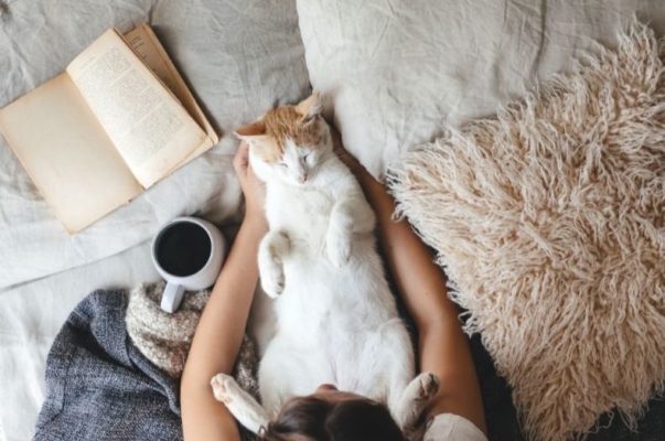 Soirée cocooning réussie et relaxante en hiver avec son chat